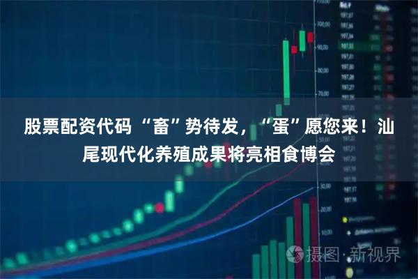 股票配资代码 “畜”势待发,“蛋”愿您来!汕尾现代化养殖成果将亮相食博会