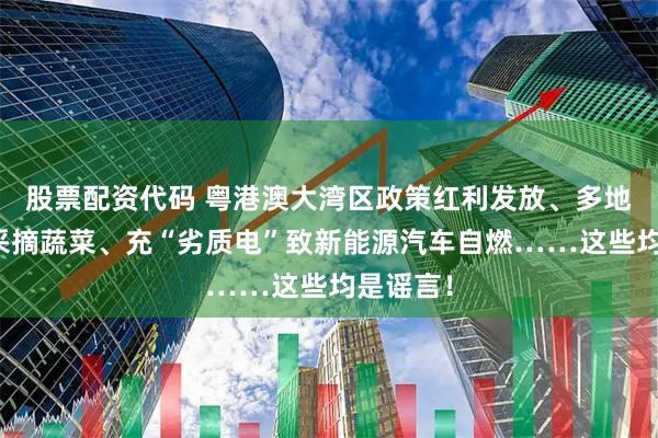 股票配资代码 粤港澳大湾区政策红利发放、多地可免费采摘蔬菜、充“劣质电”致新能源汽车自燃……这些均是谣言！