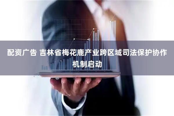 配资广告 吉林省梅花鹿产业跨区域司法保护协作机制启动