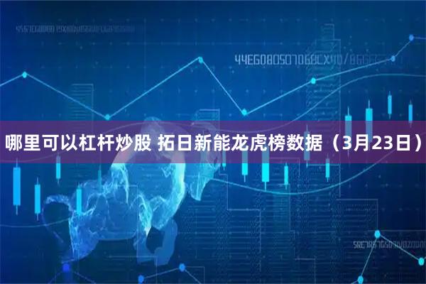 哪里可以杠杆炒股 拓日新能龙虎榜数据（3月23日）